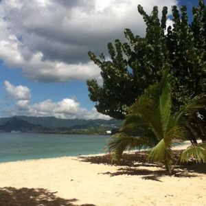 Meet your Posher, Cherrie